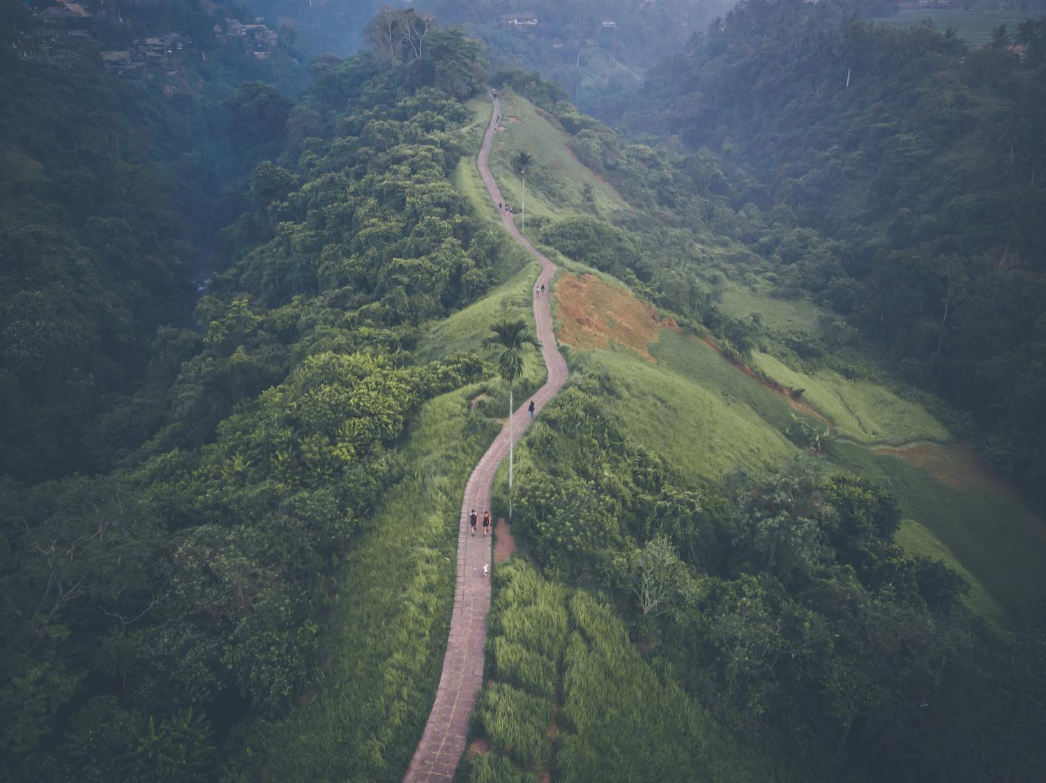 A green river valley in Bali seen from the air, a footpath running along a forested ridge between steep planted slopes.